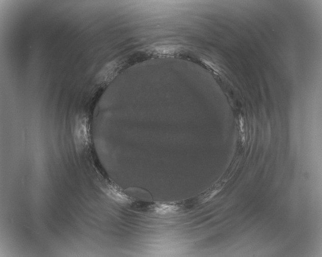 X0000061140718200512022247