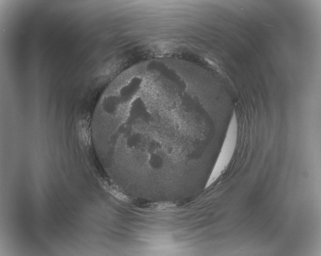 X0000061140719200512022247