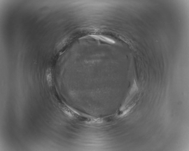 X0000061140720200512022247