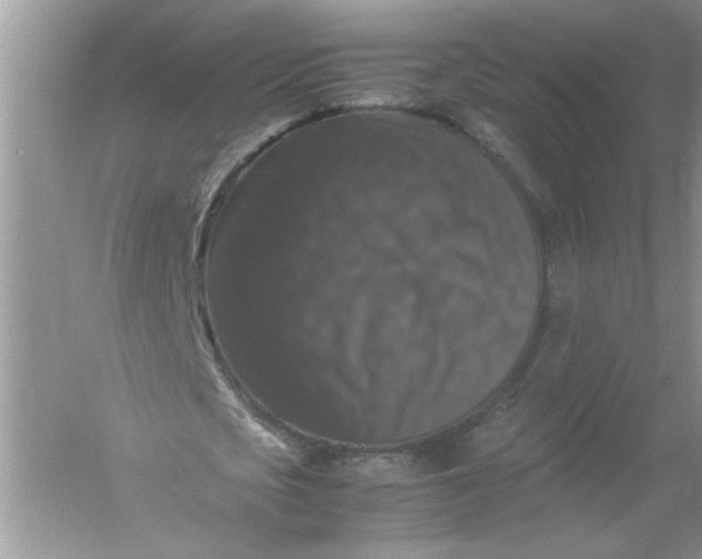 X0000061140721200512022246