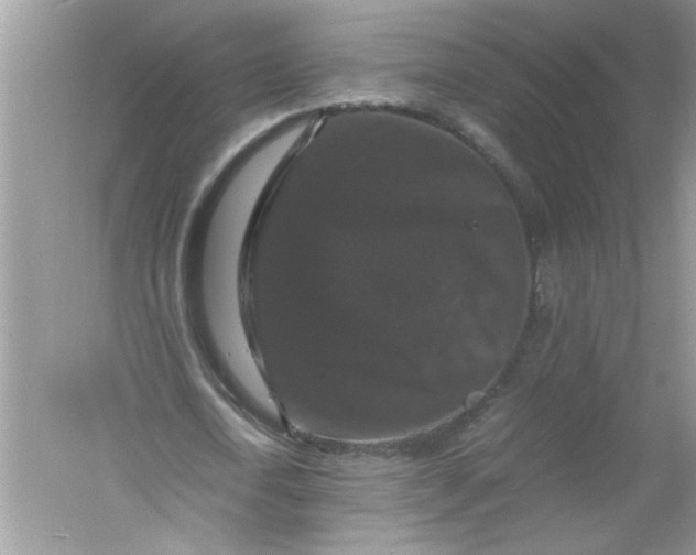 X0000061140722200512022246