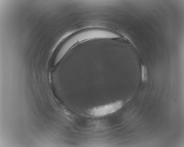 X0000061140723200512022246