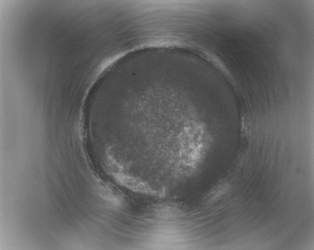 X0000061140724200512022246