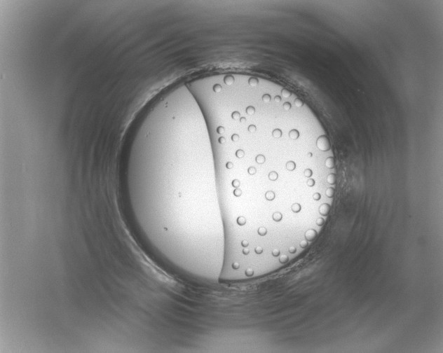 X0000061140725200512022246