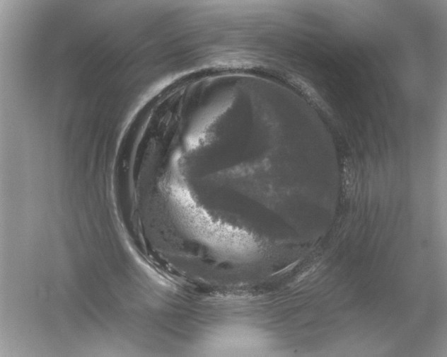 X0000061140726200512022246