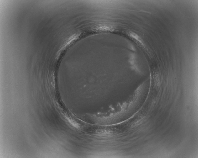 X0000061140729200512022247