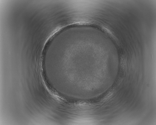 X0000061140730200512022247