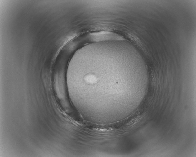 X0000061140731200512022247