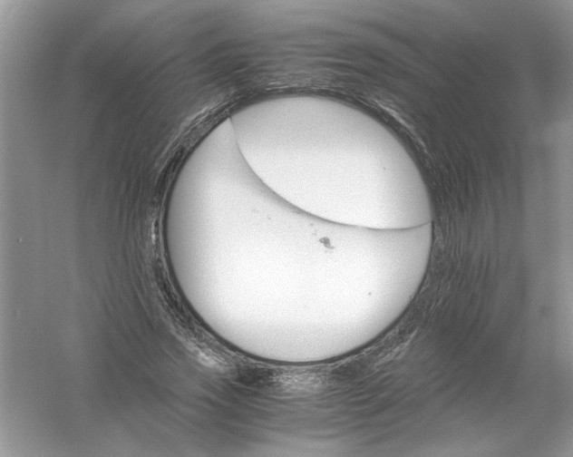 X0000061140733200512022247