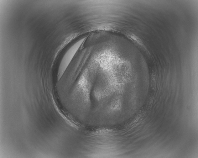 X0000061140734200512022247