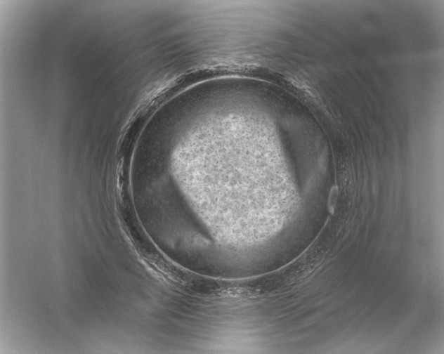 X0000061140736200512022247