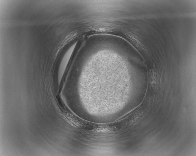 X0000061140738200512022247