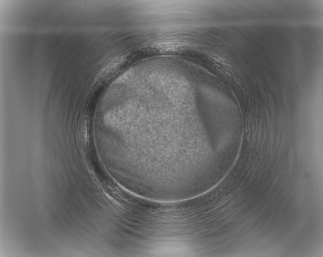 X0000061140740200512022247