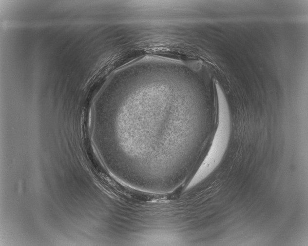 X0000061140742200512022247