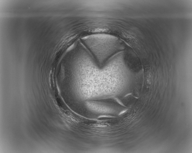 X0000061140743200512022247