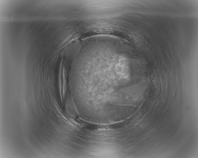 X0000061140744200512022247