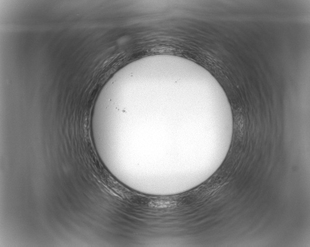 X0000061140745200512022247