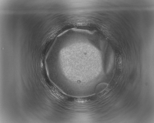 X0000061140746200512022247