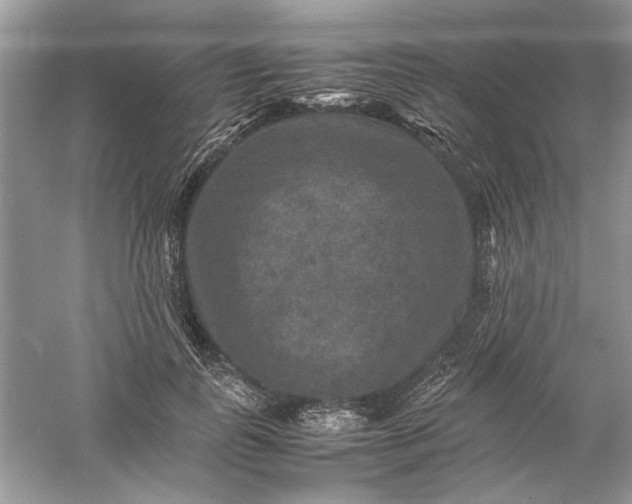 X0000061140747200512022247