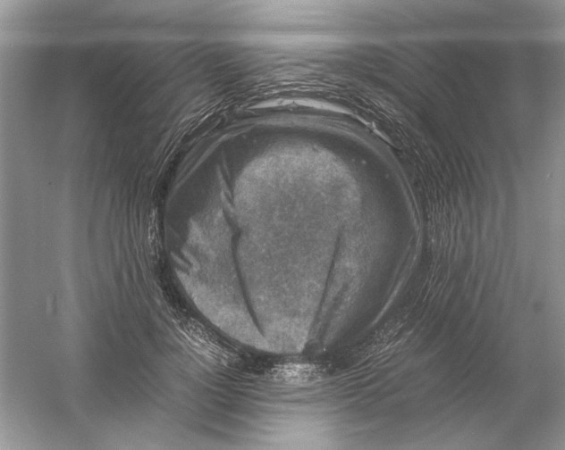 X0000061140748200512022247