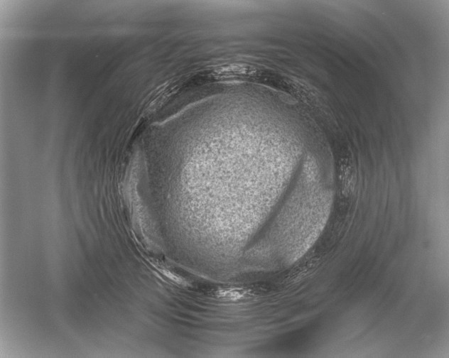 X0000061140753200512022247