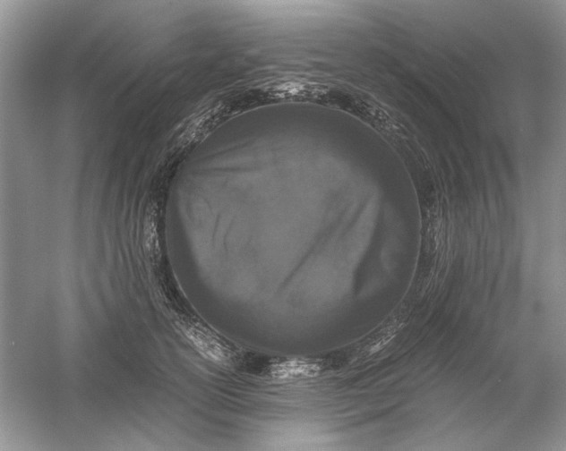 X0000061140754200512022247