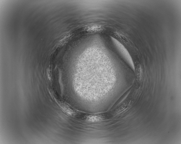 X0000061140755200512022247