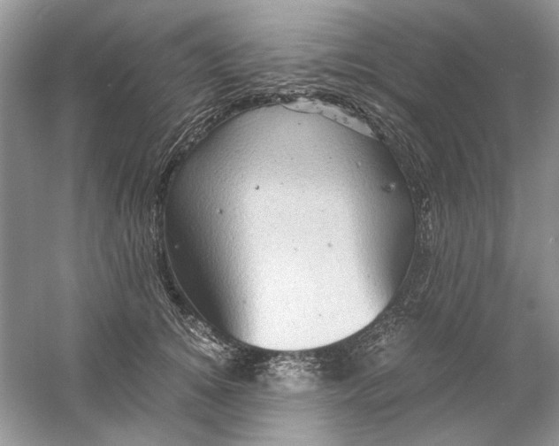 X0000061140756200512022247