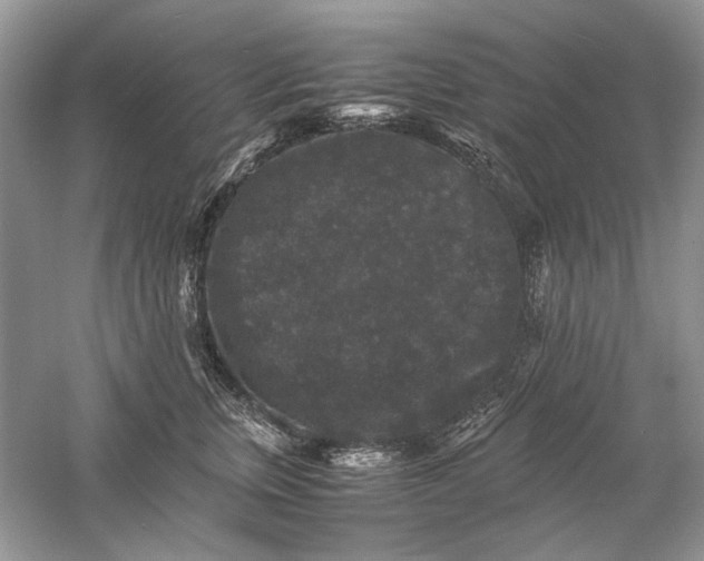 X0000061140759200512022247