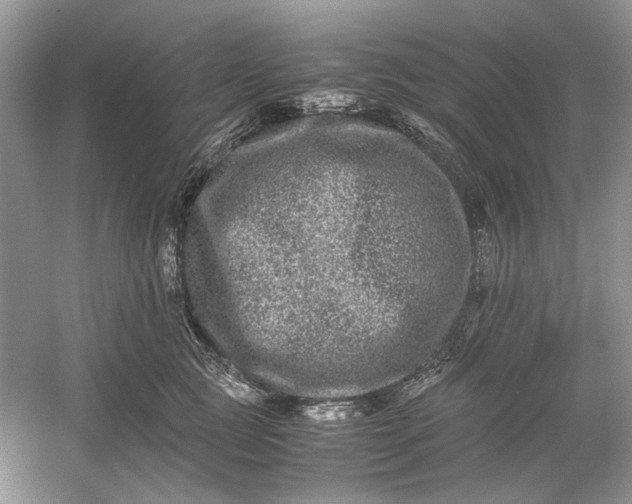 X0000061140761200512022247