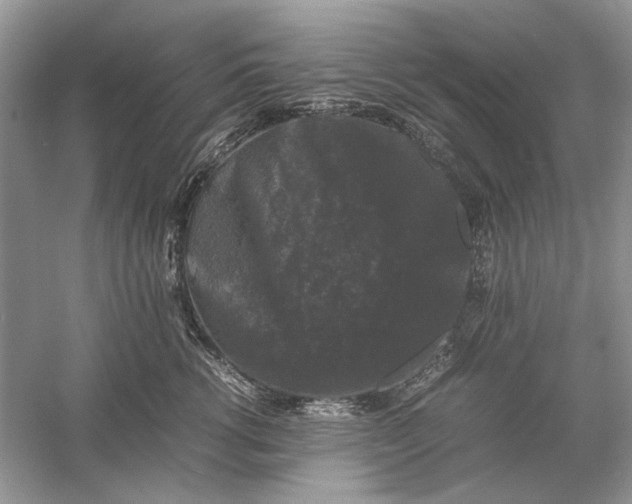 X0000061140762200512022247