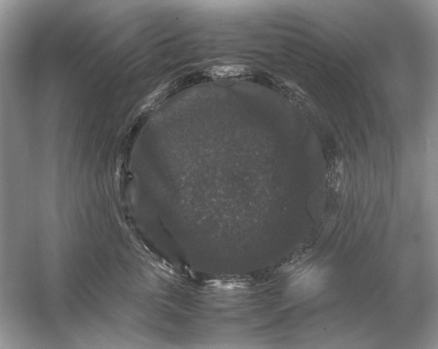 X0000061140763200512022247