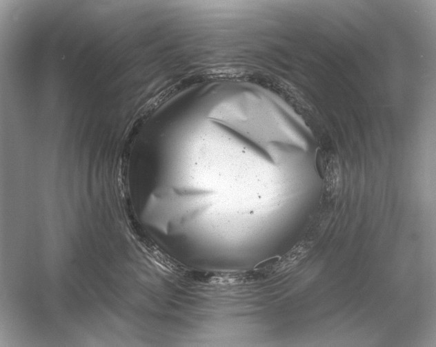 X0000061140764200512022247