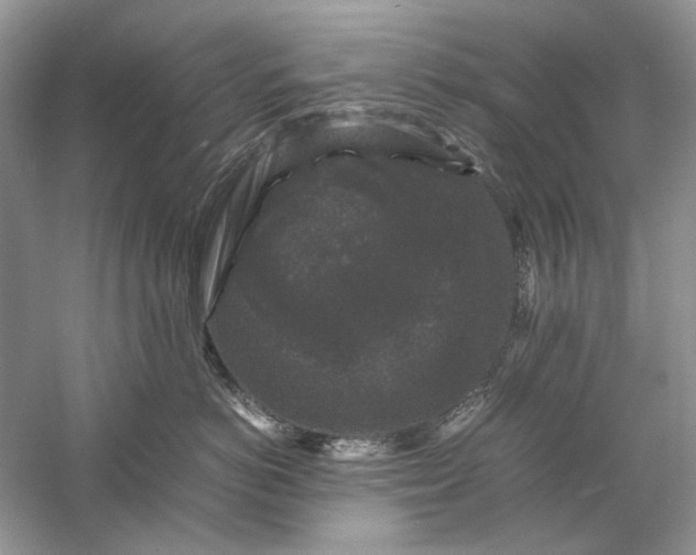 X0000061140766200512022247