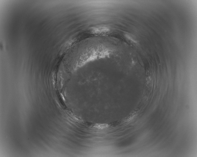 X0000061140767200512022247