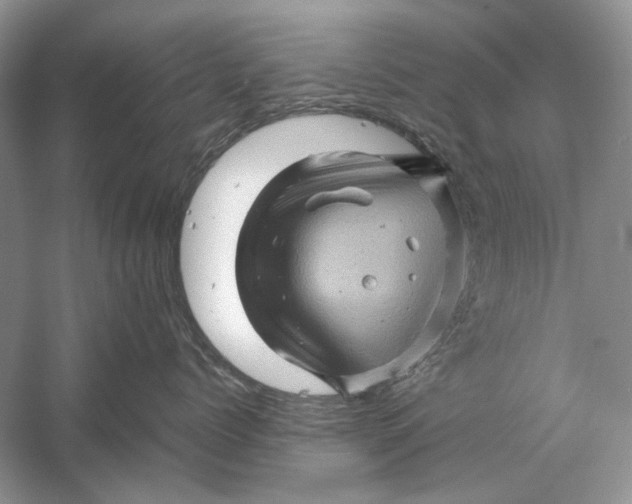 X0000061140768200512022247