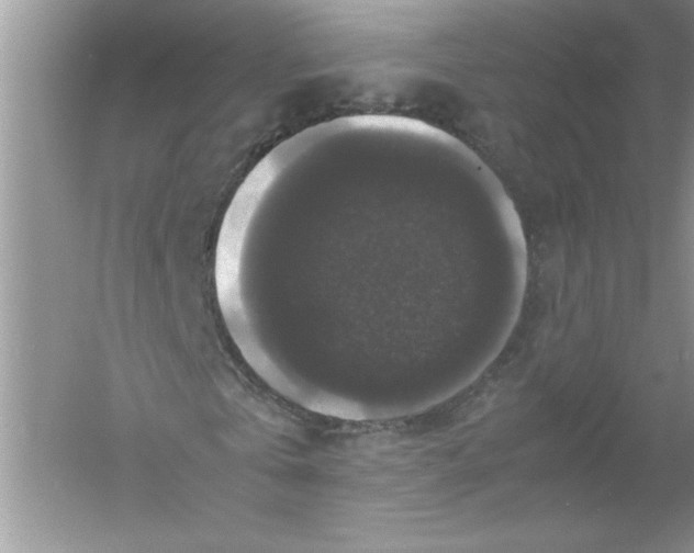 X0000061140769200512022246