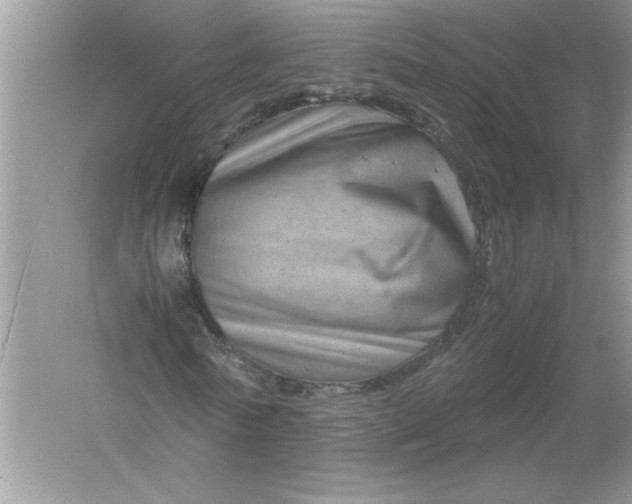 X0000061140770200512022246