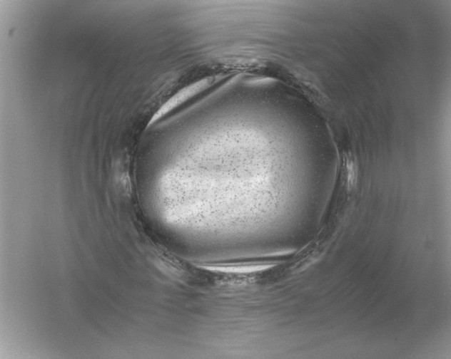 X0000061140771200512022246