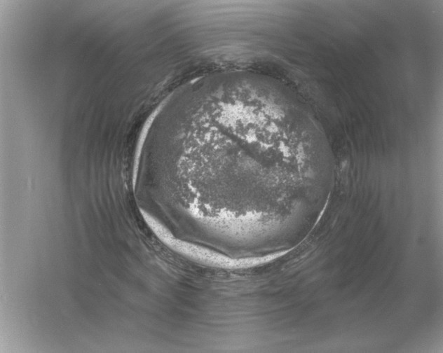 X0000061140772200512022246