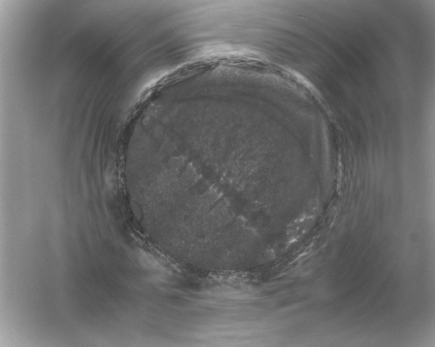 X0000061140775200512022246