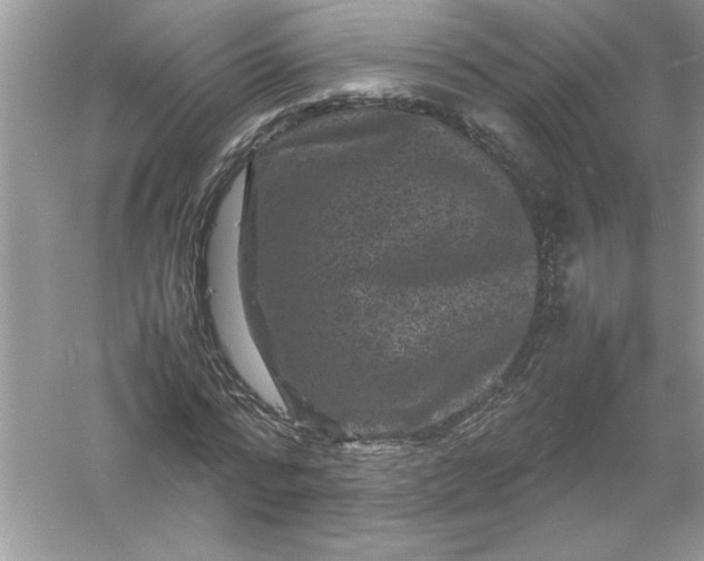 X0000061140776200512022246