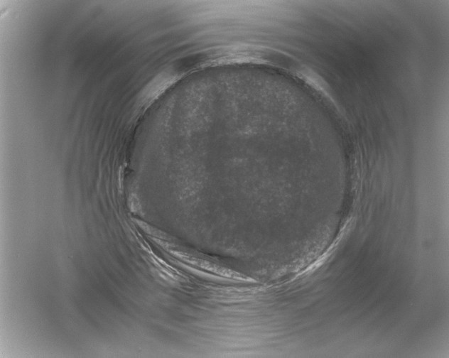 X0000061140777200512022246