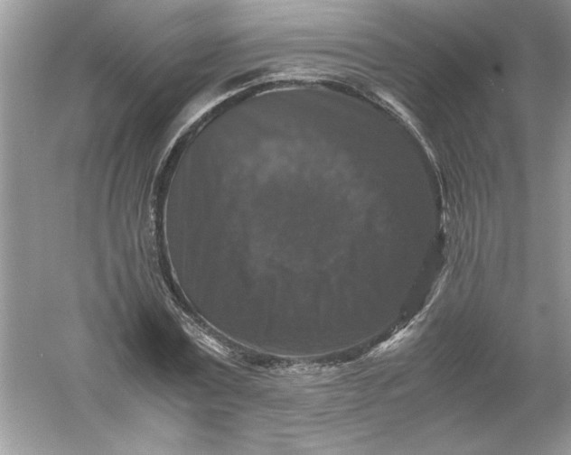 X0000061140779200512022246