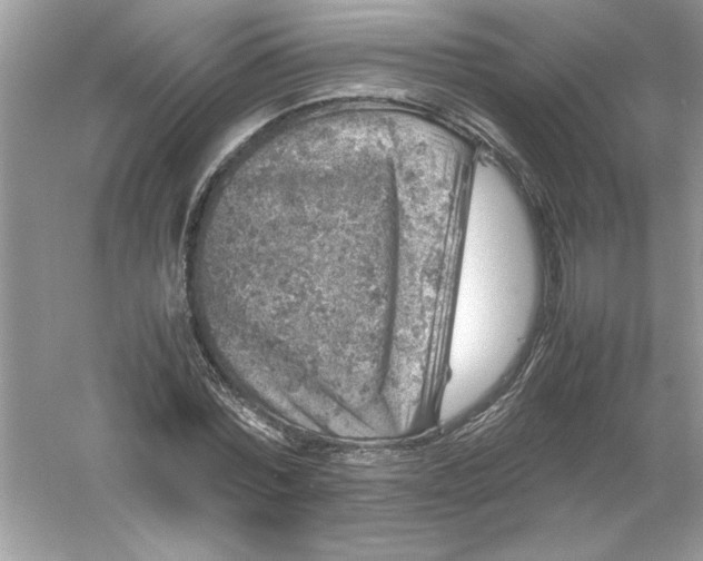 X0000061140780200512022246