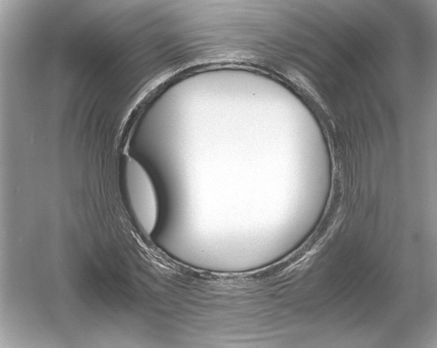 X0000061140781200512022246