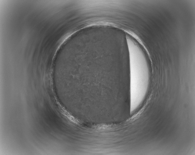 X0000061140783200512022246