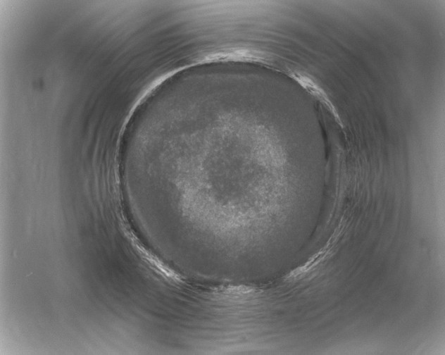 X0000061140784200512022246