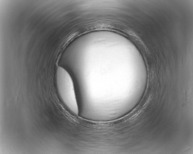 X0000061140785200512022246