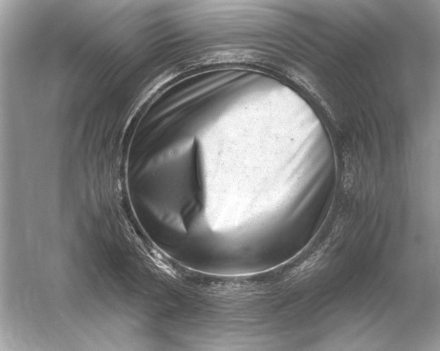 X0000061140786200512022246